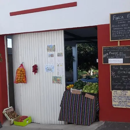 Finca Brujita Del Drago - Authentic Canarian Homestead *