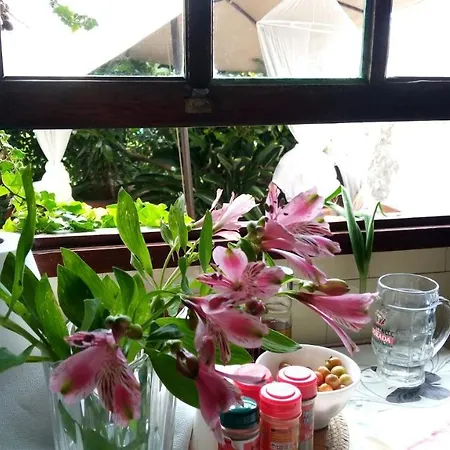 Finca Brujita Del Drago - Authentic Canarian Homestead Икод-де-лос-Винос
