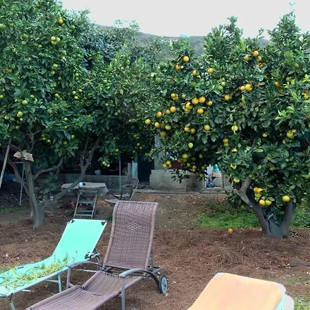 Фермерский дом Finca Brujita Del Drago - Authentic Canarian Homestead *